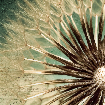 Nivel 1 - Oráculo del Verbo