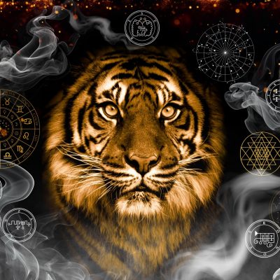 Sigilos: Geometría Etérica que Crea Realidad